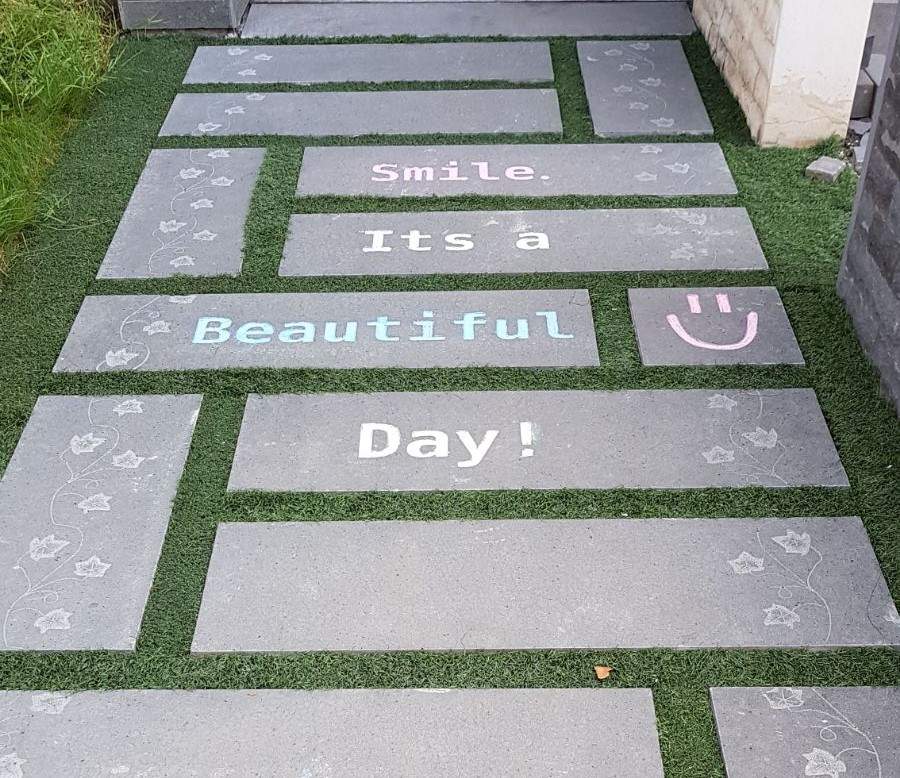 pasi japonezi andezit